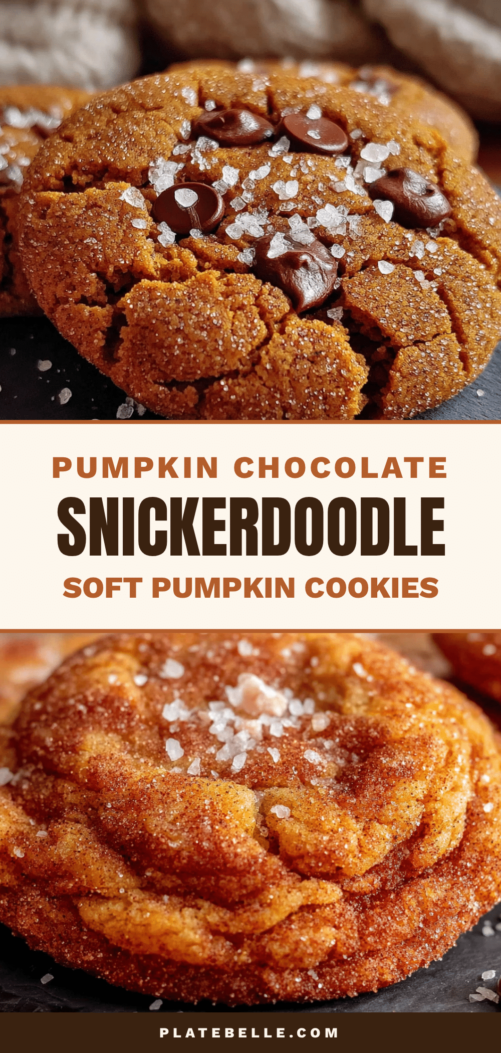 pumpkin chocolate chip snickerdoodle cookies recipe