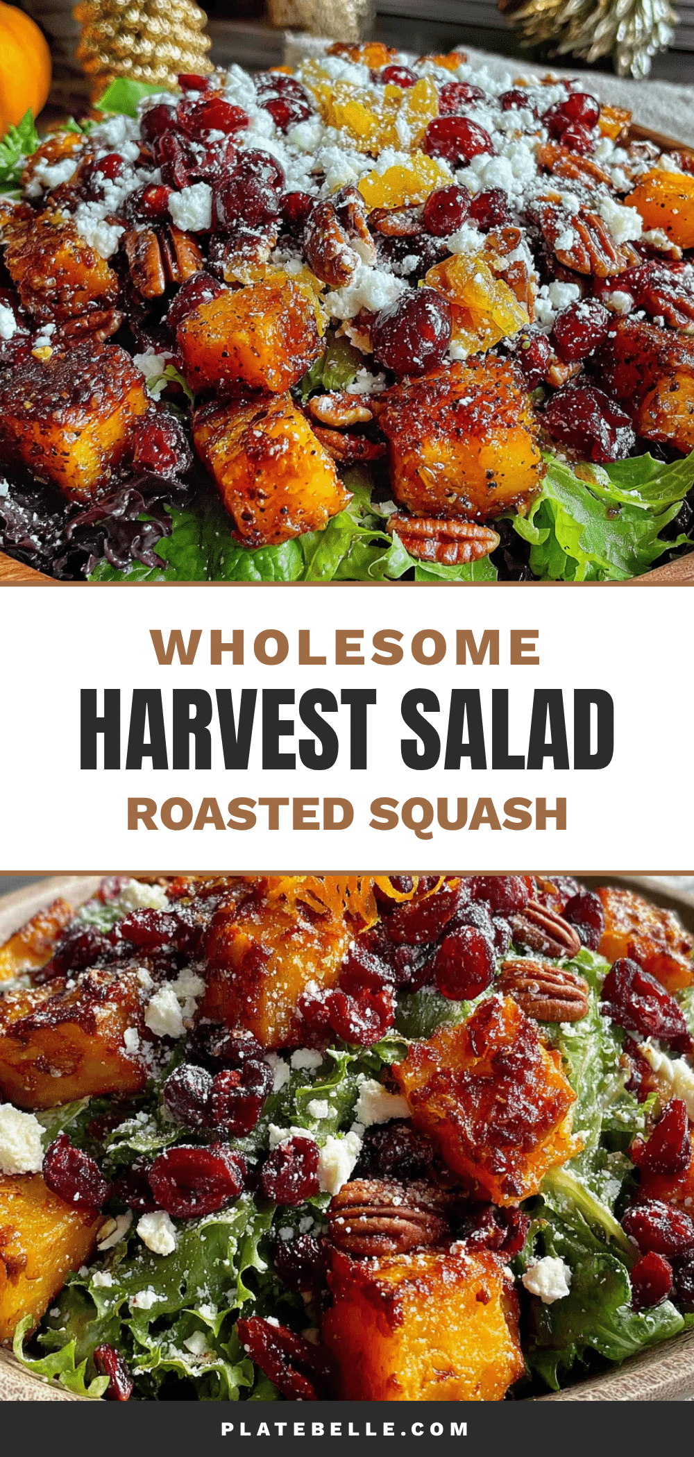 fall harvest salad with roasted squash recipe