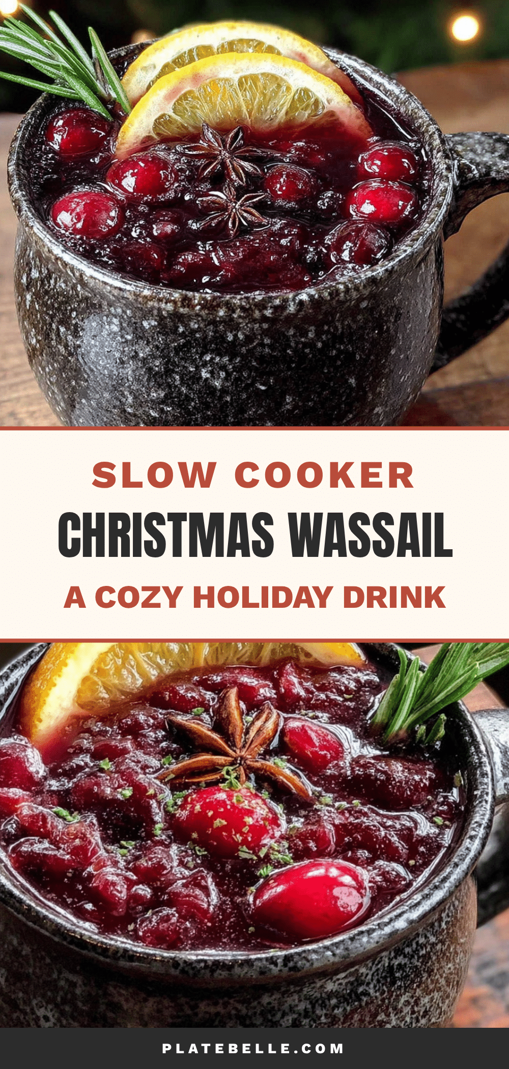 slow cooker christmas wassail recipe